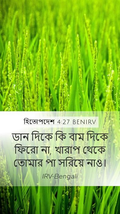 হিতোপদেশ 4:27 BENIRV Bible Verse Image