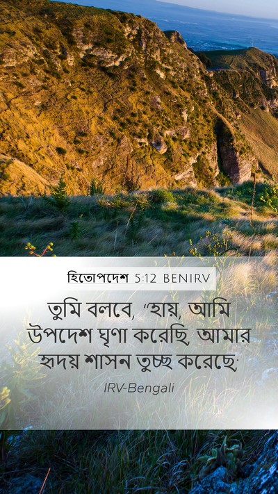 হিতোপদেশ 5:12 BENIRV Bible Verse Image