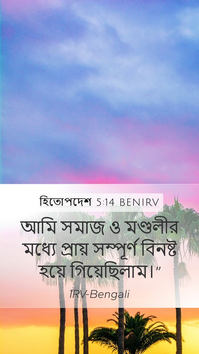 হিতোপদেশ 5:14 BENIRV Mobile Phone Wallpaper - আমি সমাজ ও মণ্ডলীর - Mobile Bible Verse Wallpaper