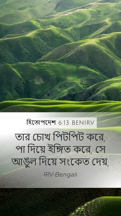 হিতোপদেশ 6:13 BENIRV Bible Verse Image
