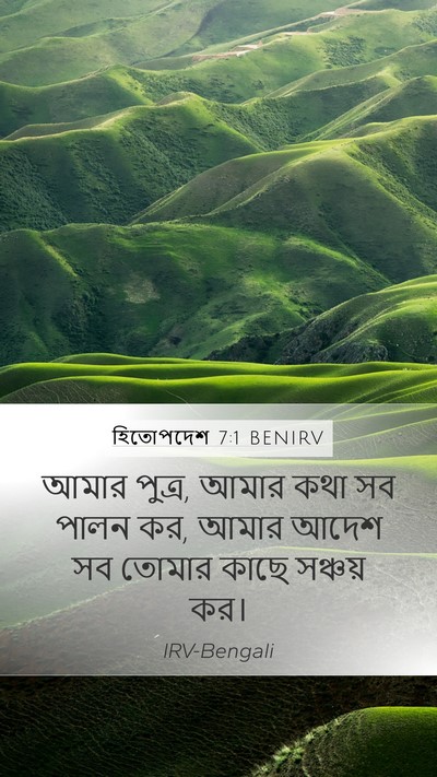 হিতোপদেশ 7:1 BENIRV Mobile Phone Wallpaper - আমার পুত্র, আমার - Mobile Bible Verse Wallpaper