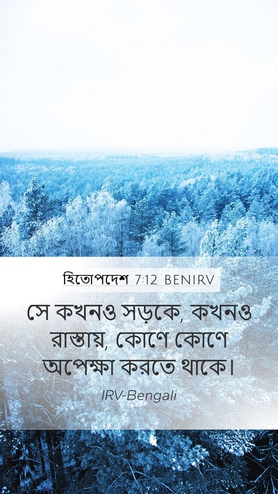 হিতোপদেশ 7:12 BENIRV Bible Verse Image