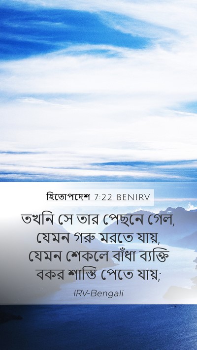 হিতোপদেশ 7:22 BENIRV Bible Verse Image