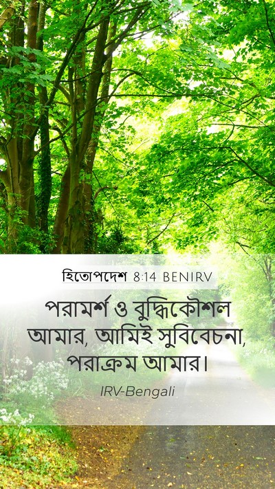 হিতোপদেশ 8:14 BENIRV Bible Verse Image