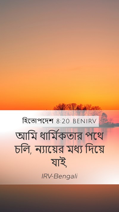 হিতোপদেশ 8:20 BENIRV Bible Verse Image