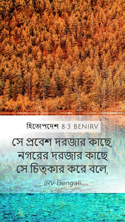হিতোপদেশ 8:3 BENIRV Mobile Phone Wallpaper - সে প্রবেশ দরজার - Mobile Bible Verse Wallpaper