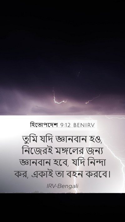 হিতোপদেশ 9:12 BENIRV Bible Verse Image
