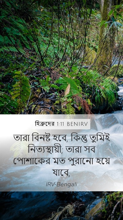 হিব্রুদের 1:11 BENIRV Bible Verse Image