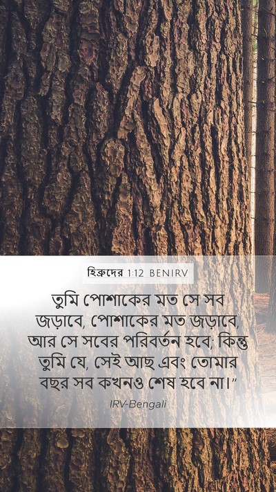 হিব্রুদের 1:12 BENIRV Bible Verse Image
