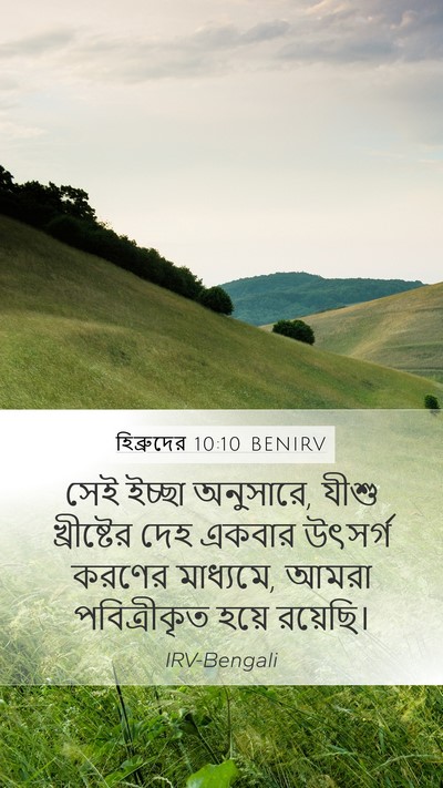 হিব্রুদের 10:10 BENIRV Bible Verse Image