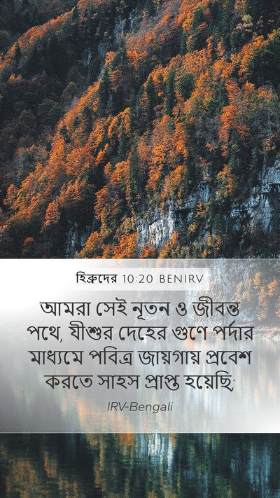 হিব্রুদের 10:20 BENIRV Bible Verse Image