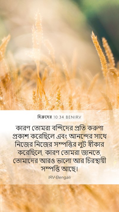 হিব্রুদের 10:34 BENIRV Bible Verse Image