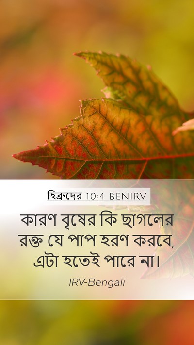 হিব্রুদের 10:4 BENIRV Bible Verse Image