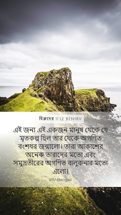 হিব্রুদের 11:12 BENIRV Mobile Phone Wallpaper - এই জন্য এই একজন - Mobile Bible Verse Wallpaper