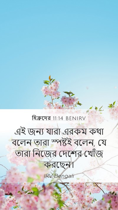 হিব্রুদের 11:14 BENIRV Mobile Phone Wallpaper - এই জন্য যারা এরকম - Mobile Bible Verse Wallpaper