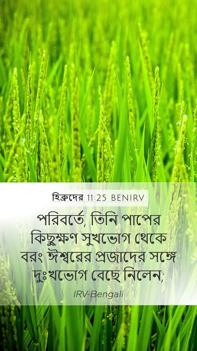 হিব্রুদের 11:25 BENIRV Bible Verse Image