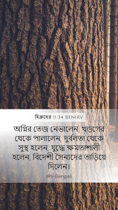 হিব্রুদের 11:34 BENIRV Bible Verse Image