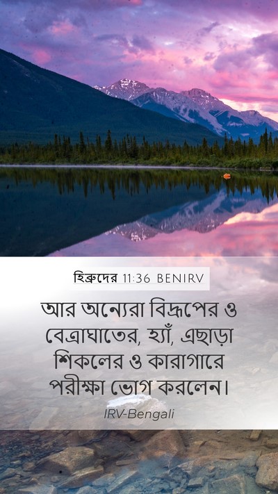 হিব্রুদের 11:36 BENIRV Bible Verse Image