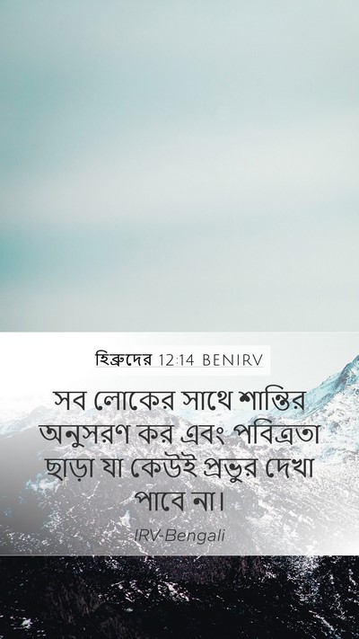 হিব্রুদের 12:14 BENIRV Bible Verse Image