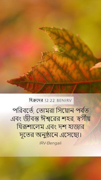 হিব্রুদের 12:22 BENIRV Bible Verse Image