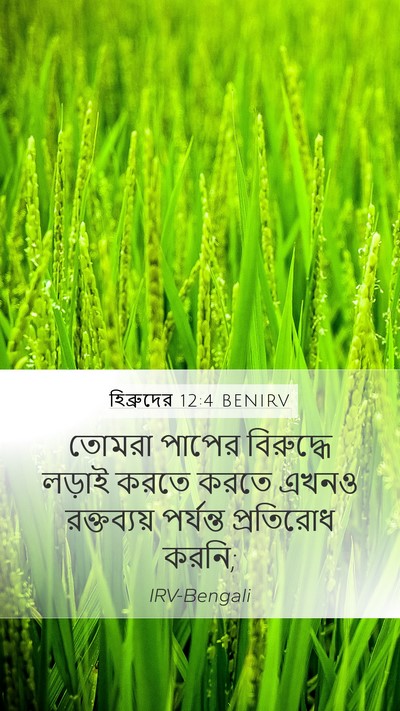 হিব্রুদের 12:4 BENIRV Bible Verse Image