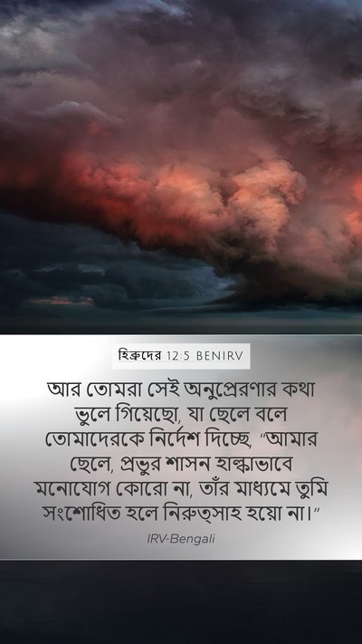 হিব্রুদের 12:5 BENIRV Bible Verse Image