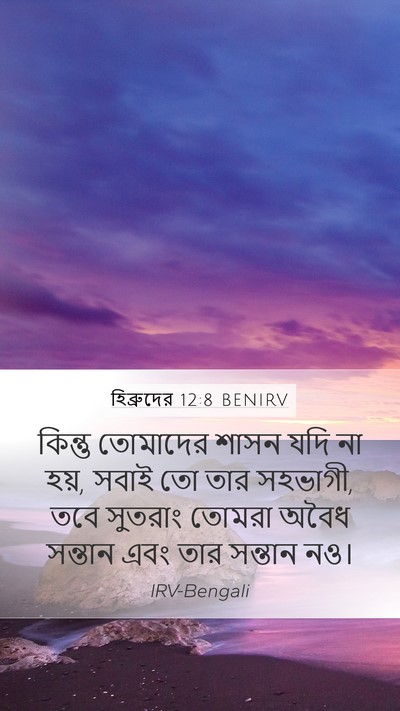 হিব্রুদের 12:8 BENIRV Bible Verse Image