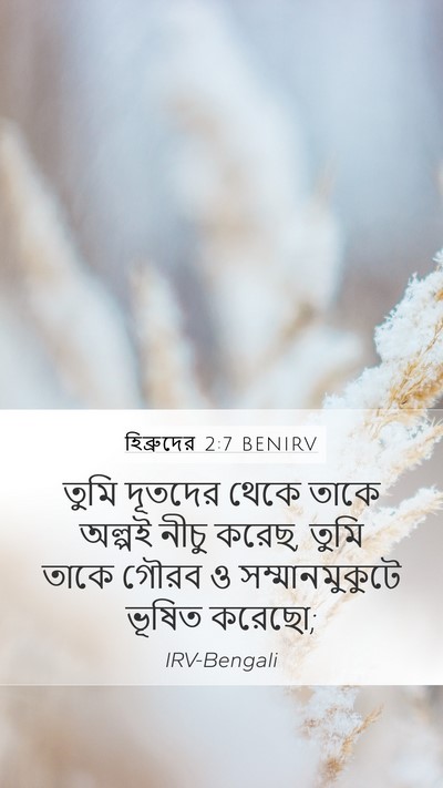 হিব্রুদের 2:7 BENIRV Bible Verse Image