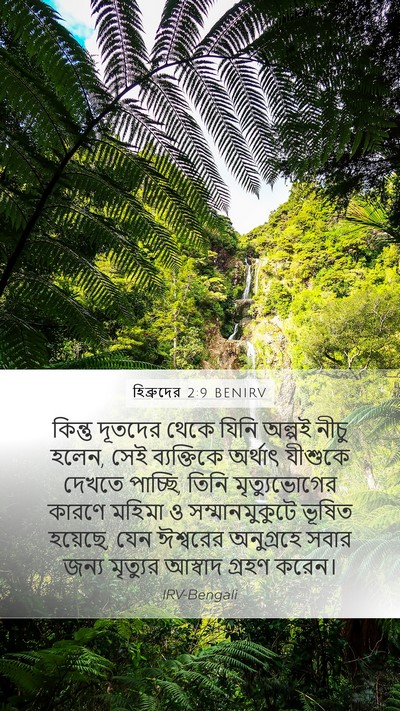 হিব্রুদের 2:9 BENIRV Bible Verse Image
