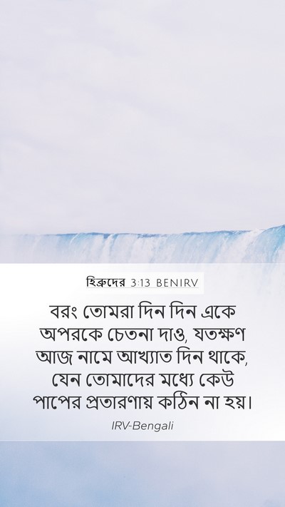 হিব্রুদের 3:13 BENIRV Bible Verse Image