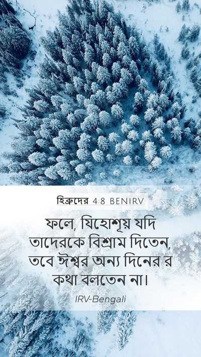 হিব্রুদের 4:8 BENIRV Bible Verse Image