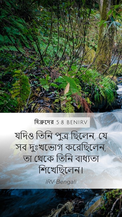 হিব্রুদের 5:8 BENIRV Bible Verse Image