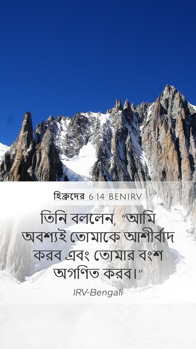 হিব্রুদের 6:14 BENIRV Bible Verse Image
