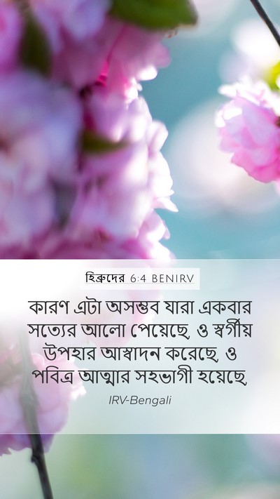 হিব্রুদের 6:4 BENIRV Bible Verse Image