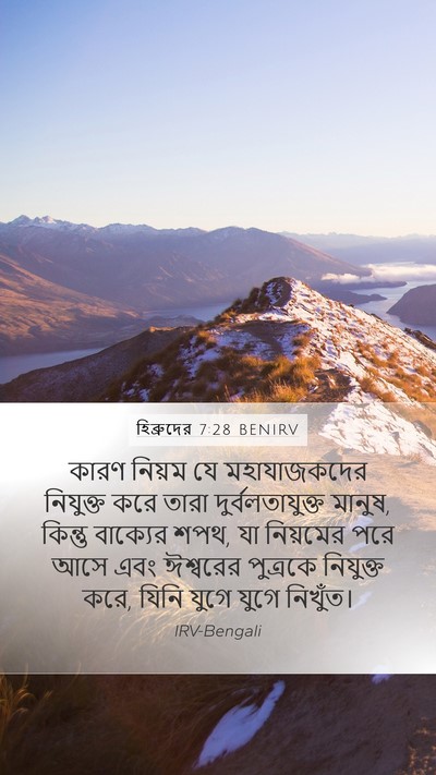 হিব্রুদের 7:28 BENIRV Bible Verse Image