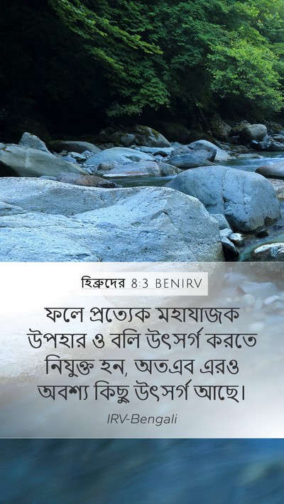 হিব্রুদের 8:3 BENIRV Bible Verse Image