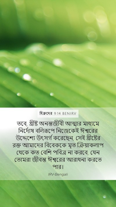 হিব্রুদের 9:14 BENIRV Bible Verse Image