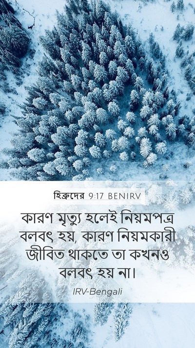হিব্রুদের 9:17 BENIRV Bible Verse Image