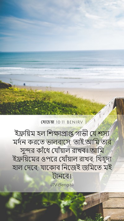 হোচেয়া 10:11 BENIRV Mobile Phone Wallpaper - ইফ্রয়িম হল - Mobile Bible Verse Wallpaper