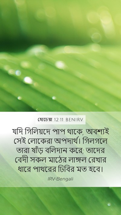 হোচেয়া 12:11 BENIRV Mobile Phone Wallpaper - যদি গিলিয়দে পাপ - Mobile Bible Verse Wallpaper