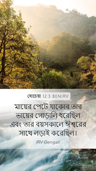 হোচেয়া 12:3 BENIRV Bible Verse Image