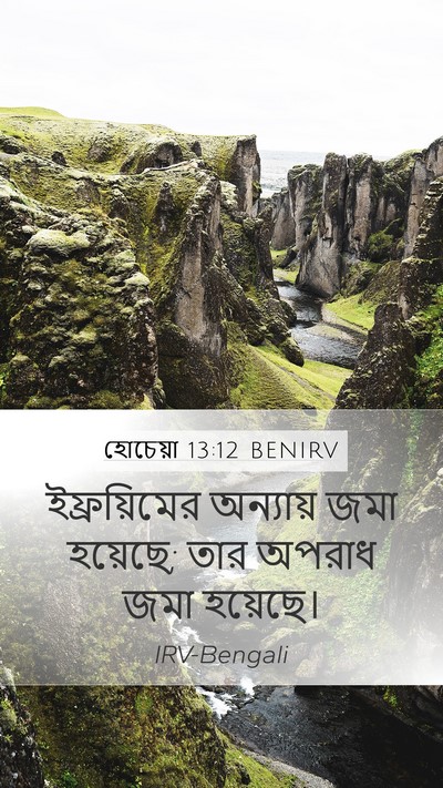 হোচেয়া 13:12 BENIRV Bible Verse Image