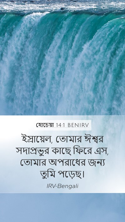 হোচেয়া 14:1 BENIRV Bible Verse Image