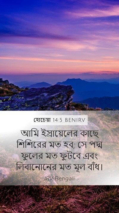 হোচেয়া 14:5 BENIRV Bible Verse Image
