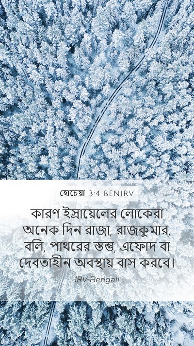 হোচেয়া 3:4 BENIRV Bible Verse Image