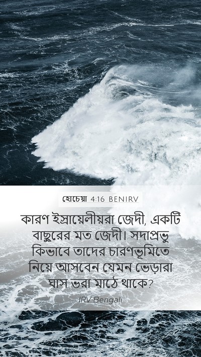 হোচেয়া 4:16 BENIRV Bible Verse Image