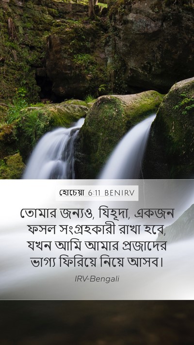 হোচেয়া 6:11 BENIRV Bible Verse Image