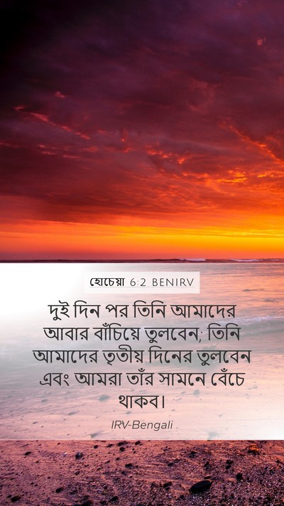 হোচেয়া 6:2 BENIRV Bible Verse Image