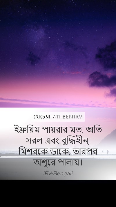 হোচেয়া 7:11 BENIRV Bible Verse Image