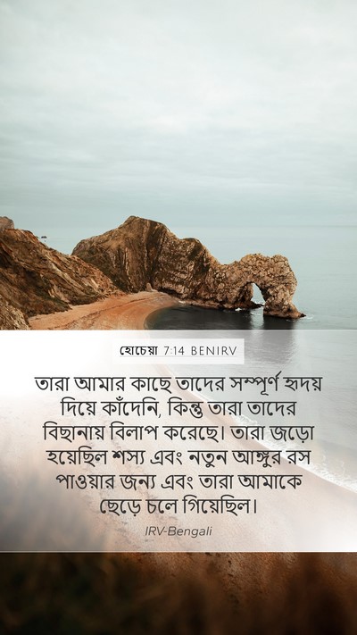 হোচেয়া 7:14 BENIRV Bible Verse Image